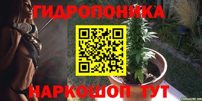шишки Гусь-Хрустальный