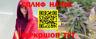 индика Конаково