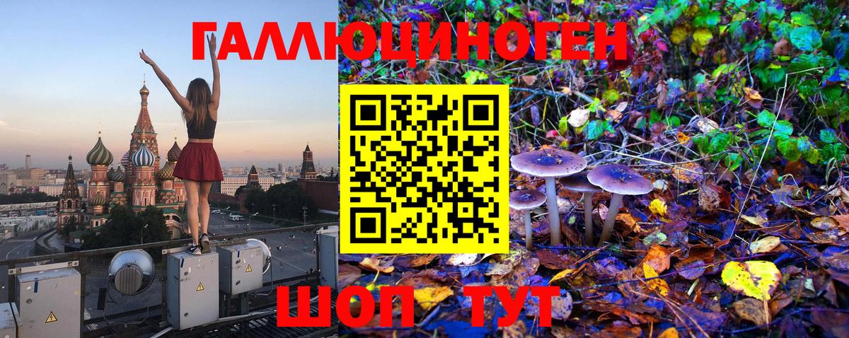 Псилоцибиновые грибы мицелий  закладки  Клинцы  Вход с VPN 